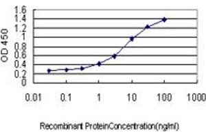 ELISA image for anti-Cyclin B1 (CCNB1) (AA 1-91) antibody (ABIN598512) (Cyclin B1 Antikörper  (AA 1-91))