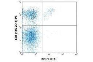 Flow Cytometry (FACS) image for anti-V alpha 2 TCR antibody (FITC) (ABIN2662012) (V alpha 2 TCR Antikörper (FITC))