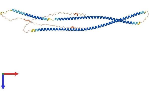 KRT80 Protein (AA 1-452) (His tag)