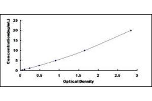 Typical standard curve (EPH Receptor A10 ELISA Kit)