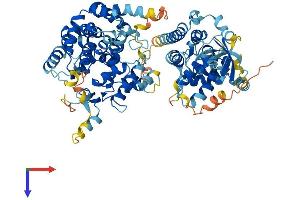 SGSM3 Protein (AA 1-749) (His tag)