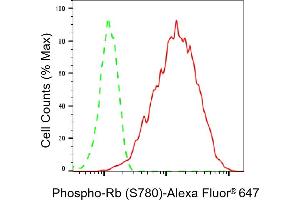 Flow cytometric analysis of Phospho-Rb (S780) expression in HAP-1 cells using Phospho-Rb (S780) antibody (ABIN7800187), 1:2,000). (Rekombinanter Retinoblastoma Protein (Rb) Antikörper  (pSer780))