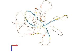 AlphaFold protein structure predicition of Mouse Recombinant Kprp Protein, UniprotID B2RUR4