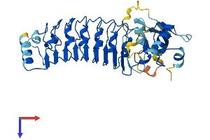 LRRC28 Protein (AA 1-367) (His tag)