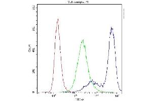 Flow Cytometry analysis of U251 cells using anti-PPP1R12A antibody (ABIN3043902).
