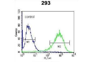 Flow Cytometry (FACS) image for anti-Inositol-Trisphosphate 3-Kinase B (ITPKB) antibody (ABIN3003734) (ITPKB Antikörper)