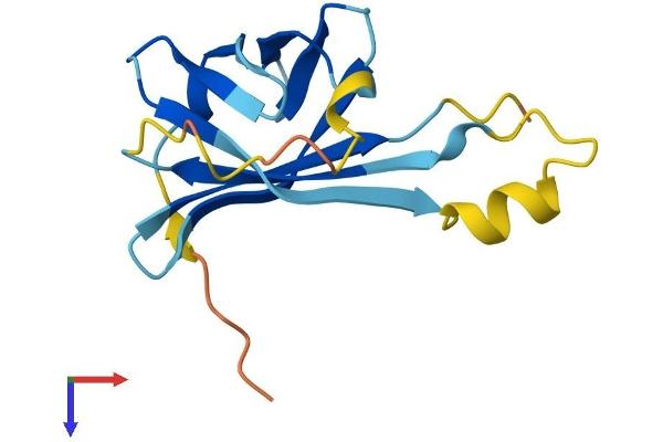 TCL1B Protein (AA 1-128) (His tag)