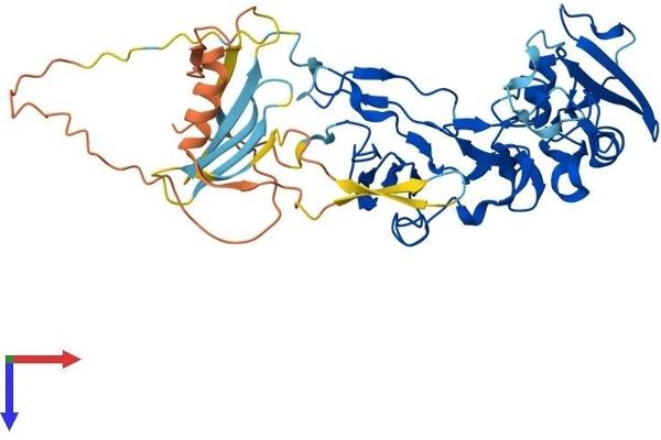 ADAM5 Protein (AA 1-412) (His tag)