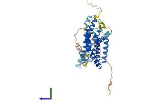 Protein Structure (PS) image for G Protein-Coupled Receptor 4 (GPR4) (AA 1-365) protein (His tag) (ABIN7558896)