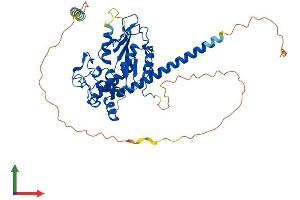 Protein Structure (PS) image for Heparan Sulfate 6-O-Sulfotransferase 3 (HS6ST3) (AA 1-470) protein (His tag) (ABIN7561795)