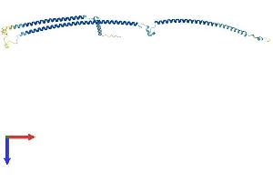 RIBC1 Protein (AA 1-379) (His tag)