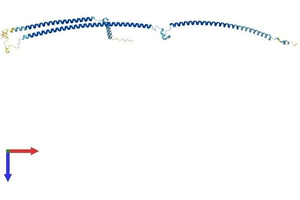RIBC1 Protein (AA 1-379) (His tag)