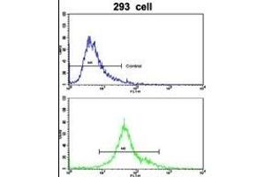 Flow cytometric analysis of 293 cells using EMILIN1 Antibody (N-term)(bottom histogram) compared to a negative control cell (top histogram). (Emilin1 Antikörper  (N-Term))