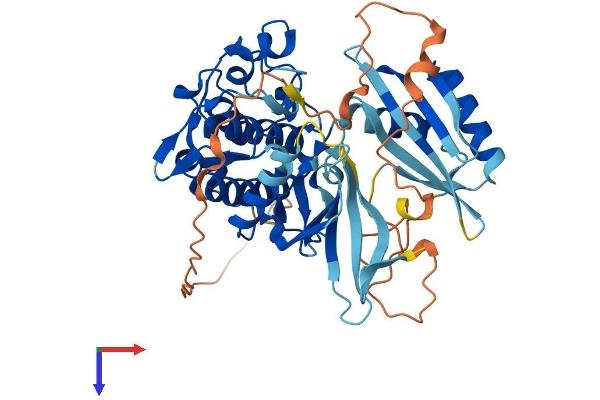 CHEK1 Protein (AA 1-476) (His tag)