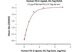 Immobilized Human Flt-3, Fc Tag (ABIN6731308,ABIN6809860) at 5 μg/mL (100 μL/well) can bind Human Flt-3 Ligand, His Tag (ABIN2181110,ABIN2181109,ABIN3071752) with a linear range of 0.