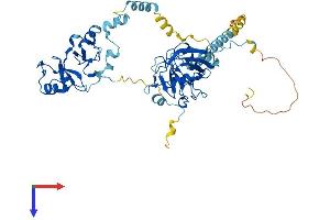 PPIL2 Protein (AA 1-521) (His tag)