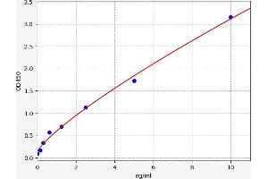 APPBP2 ELISA Kit