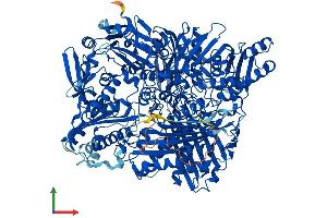 Protein Structure (PS) image for Aldehyde Oxidase 1 (AOX1) (AA 1-1333) protein (His tag) (ABIN7562407)