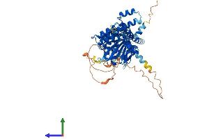 AlphaFold protein structure predicition of Mouse Recombinant Flcn Protein, UniprotID Q8QZS3