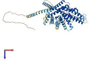 SOAT1 Protein (AA 1-550) (His tag)