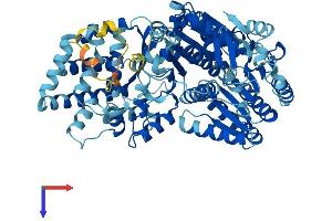 ERCC2 Protein (AA 1-760) (His tag)