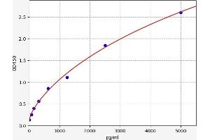 DTNBP1 ELISA Kit