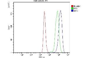 Flow Cytometry analysis of THP-1 cells using anti-C-Myc/MYC antibody (ABIN7602629). (c-MYC Antikörper  (AA 9-439))
