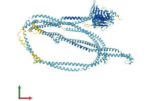 Protein Structure (PS) image for RAD50 Homolog (S. Cerevisiae) (RAD50) (AA 1-1312) protein (His tag) (ABIN7555115)