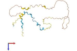 TTDN1 Protein (AA 1-179) (His tag)