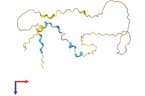 TTDN1 Protein (AA 1-179) (His tag)