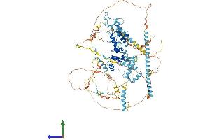 Protein Structure (PS) image for Splicing Factor 3b, Subunit 2, 145kDa (SF3B2) (AA 1-895) protein (His tag) (ABIN7555517)