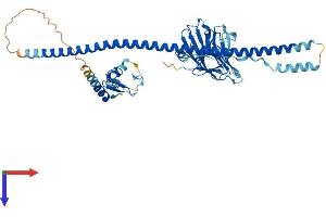Protein Structure (PS) image for Tripartite Motif Family-Like 1 (TRIML1) (AA 1-468) protein (His tag) (ABIN7544593)
