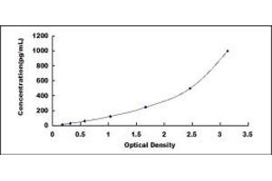 CD93 ELISA Kit