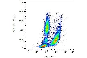 Flow Cytometry (FACS) image for anti-Tumor Necrosis Factor Receptor Superfamily, Member 8 (TNFRSF8) antibody (PE) (ABIN192354)