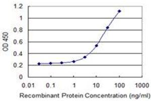 Detection limit for recombinant GST tagged PAXIP1 is 0. (PAXIP1 Antikörper  (AA 868-975))