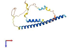 DDIT3 Protein (AA 1-169) (His tag)