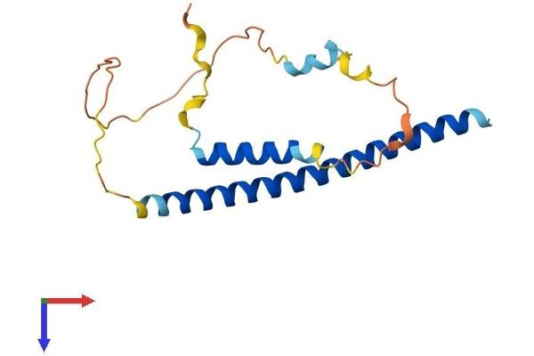 DDIT3 Protein (AA 1-169) (His tag)