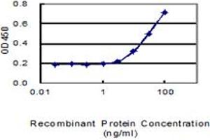 Detection limit for recombinant GST tagged TMCO2 is 1 ng/ml as a capture antibody. (TMCO2 Antikörper  (AA 1-182))