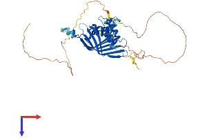 LIM Domain Binding 2 Protein Protein (AA 1-373) (His tag)