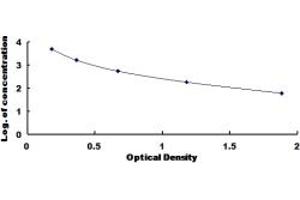 Typical standard curve (SCGN ELISA Kit)