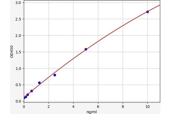 PKC zeta ELISA Kit