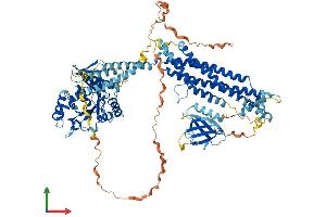 Protein Structure (PS) image for Dynamin 2 (DNM2) (AA 1-870) protein (His tag) (ABIN7563207)