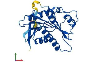 Protein Structure (PS) image for Chromosome 13 Open Reading Frame 27 (C13orf27) (AA 1-227) protein (His tag) (ABIN7544340)