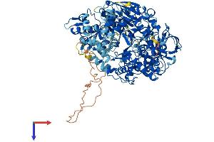 IREB2 Protein (AA 1-963) (His tag)