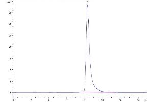 The purity of Mouse IL-11R alpha is greater than 95 % as determined by SEC-HPLC. (IL11RA Protein (AA 24-372) (His tag))