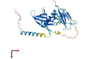 PIH1D1 Protein (AA 1-290) (His tag)