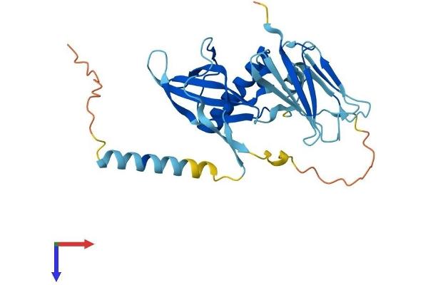 PIH1D1 Protein (AA 1-290) (His tag)