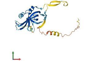 AlphaFold protein structure predicition of Human Recombinant ARPIN Protein, UniprotID Q7Z6K5 (ARPIN Protein (AA 1-226) (His tag))