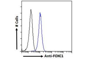 ABIN185028 Flow cytometric analysis of paraformaldehyde fixed HEK293 cells (blue line), permeabilized with 0.