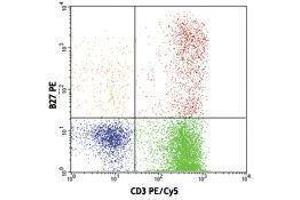 Flow Cytometry (FACS) image for anti-Interferon gamma (IFNG) antibody (PE) (ABIN2663751) (Interferon gamma Antikörper  (PE))